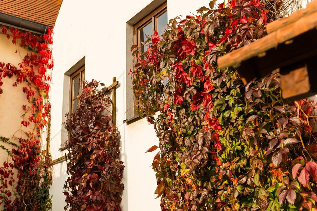 Pension Marie Český Krumlov Buitenkant foto